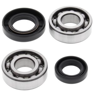 Kawasaki KFX50 Crank Shaft Bearing Kit - All Balls Racing - Double lip seals with PTFE contact area - `03-`06